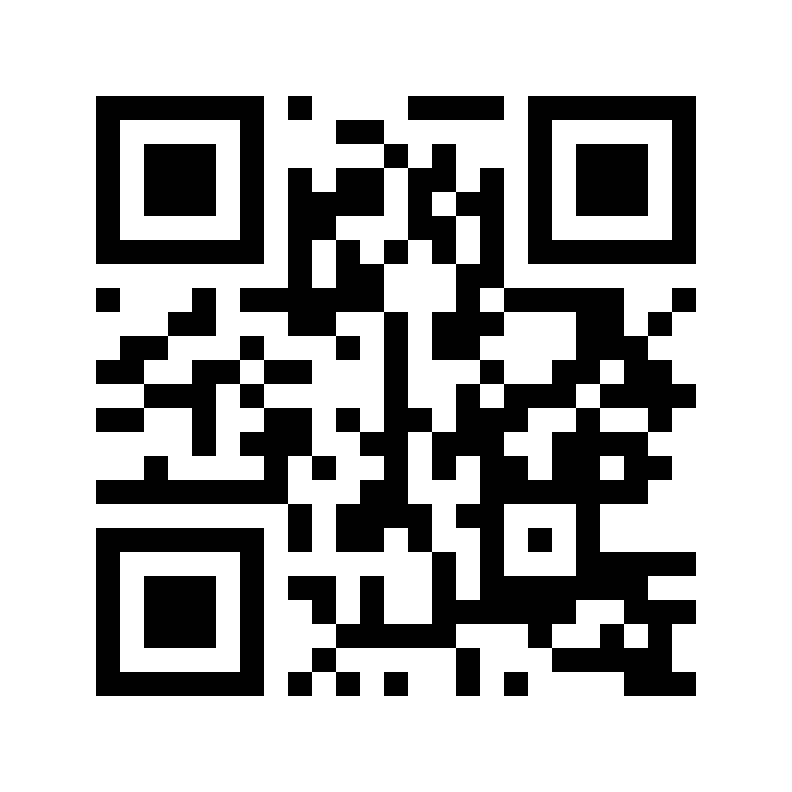 QR kód na web networkingplus.cz